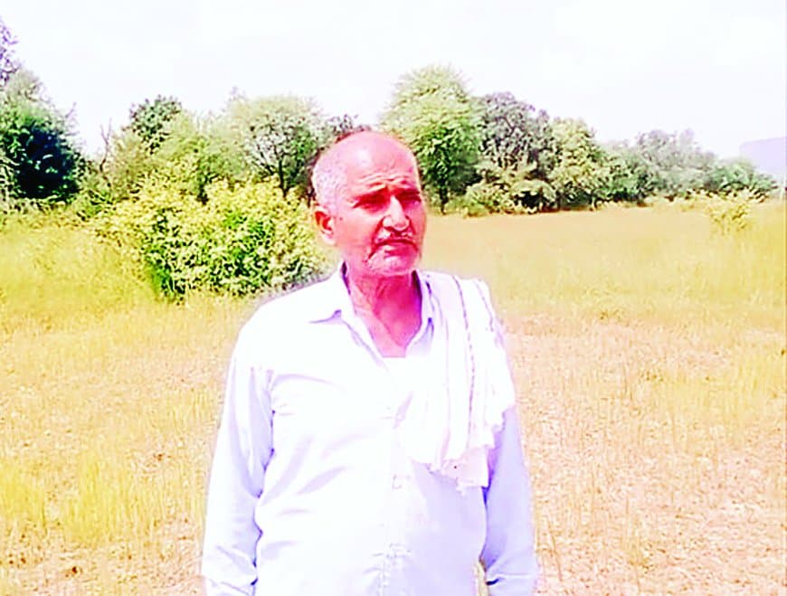 सीधी में सिंचाई संकट: नहर का पानी न मिलने से मुरझाने लगी धान की फसलें, किसानों में गहराई चिंता