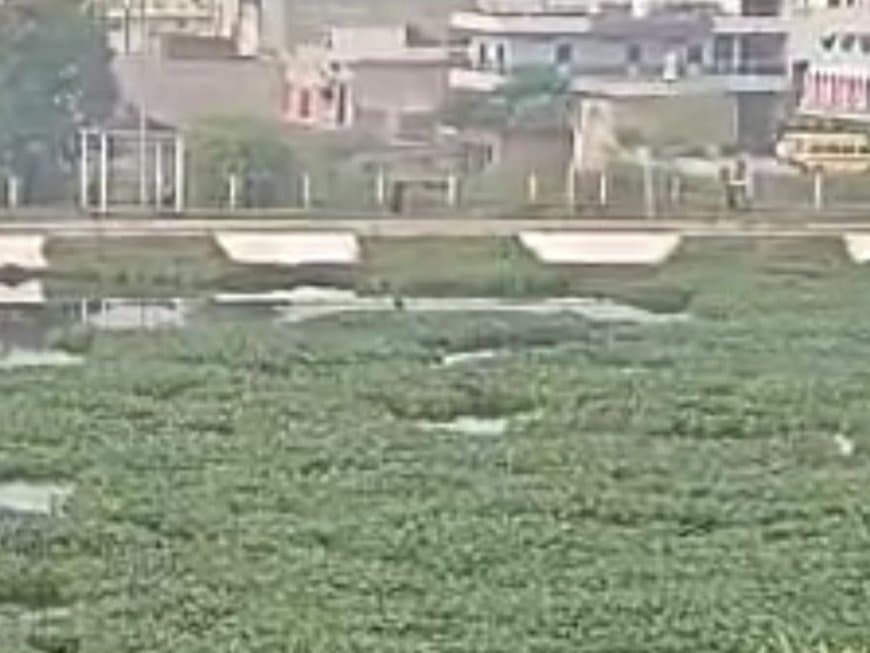 सतना का ऐतिहासिक धवारी तालाब हुआ शासकीय घोषित: एसडीएम के आदेश से सभी नामांतरण और बटांक शून्य, भू-माफियाओं की हार, नगर निगम व स्मार्ट सिटी पर पुनर्जीवन की जिम्मेदारी