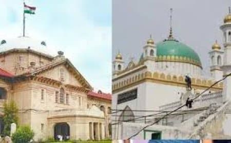 संभल मस्जिद विवाद: हाईकोर्ट ने याचिका खारिज की, अवैध निर्माण पर रोक से इनकार; ट्रायल कोर्ट जाने का निर्देश