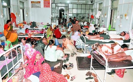 सतना में स्क्रब टायफस का बढ़ा खतरा — मल्टी ऑर्गन फेल होने लगे मरीज, वार्ड फुल, डॉक्टर बोले– तीन दिन में इलाज नहीं तो जान पर बन सकती है बात