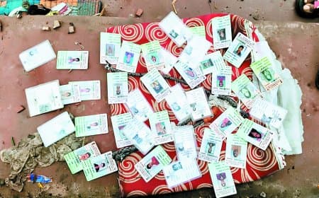छतरपुर के तालाब में मिले सैकड़ों मतदाता परिचय पत्र, मचा हड़कंप — वोटर कार्ड घोटाले की बू, प्रशासन जांच में जुटा