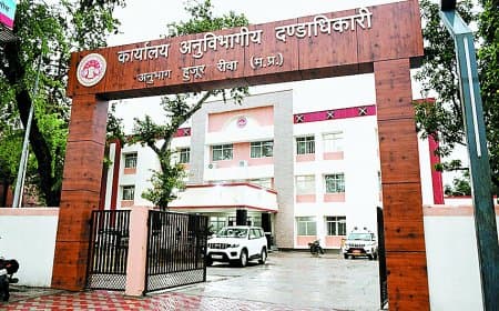 रीवा में राजस्व कोर्ट व्यवस्था चरमराई: शासन के आदेश से 9 अधिकारी अब भी लूप लाइन में, केवल 3 को मिली राहत