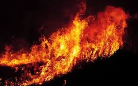 भोपाल में दिवाली की रात आगजनी की 18 घटनाएं, फायर ब्रिगेड की तत्परता से टले बड़े हादसे