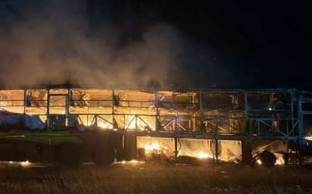 आंध्र प्रदेश... टक्कर के बाद बस में लगी आग, 20 जिंदगी खाक