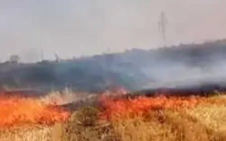 नरवाई जलाने वाले चार किसानों पर एफआईआर दर्ज:
