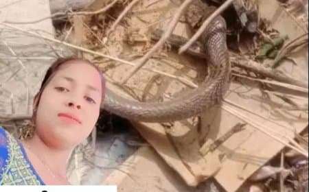 तीन टुकड़े होने के बाद भी सांप ने डसा, मौत