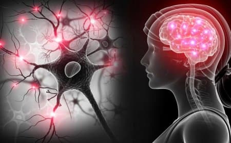 ये दवाएं करेंगी ब्रेन हेल्थ को बेहतर करने में मददगार साबित, स्टडी में हुआ चौंकाने वाला खुलासा
