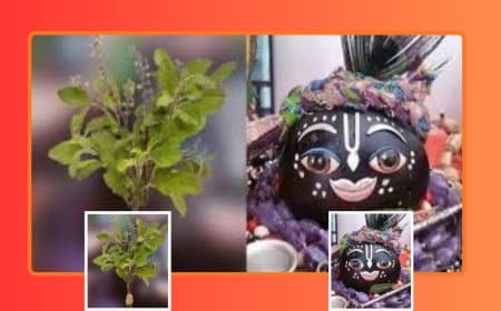 Tulsi Vivah 2025 Date, Shubh Muhurat, Importance: जानें तुलसी विवाह का महत्व और कन्यादान का पुण्य