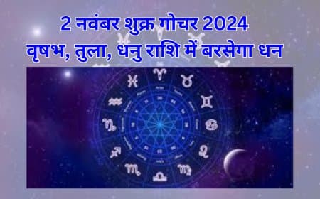 2 नवंबर शुक्र गोचर 2024: मालव्य राजयोग से वृषभ, तुला, धनु राशि को मिलेगी अपार धन-संपदा और तरक्की