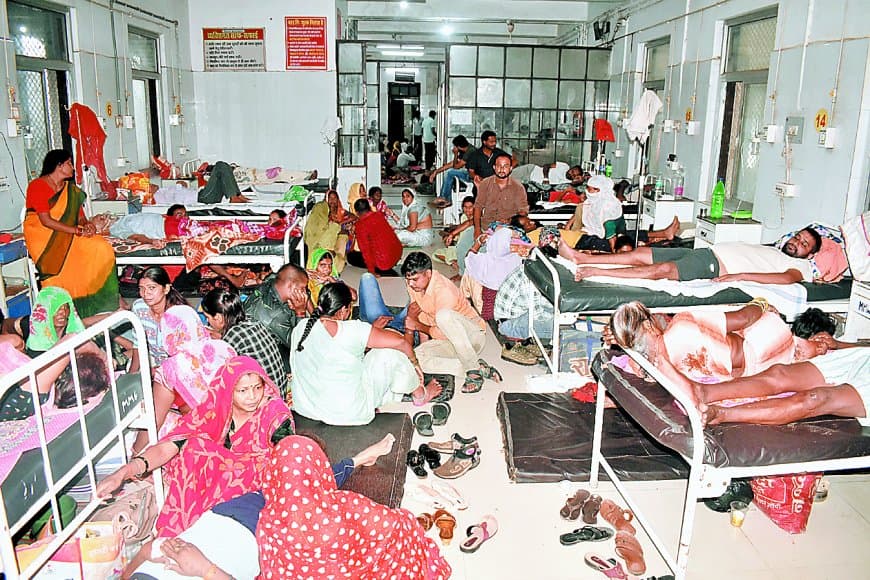 सतना में स्क्रब टायफस का बढ़ा खतरा — मल्टी ऑर्गन फेल होने लगे मरीज, वार्ड फुल, डॉक्टर बोले– तीन दिन में इलाज नहीं तो जान पर बन सकती है बात