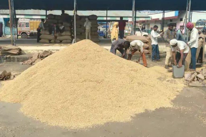  मंडी में रिकॉर्ड 10 हजार क्विंटल धान की आवक