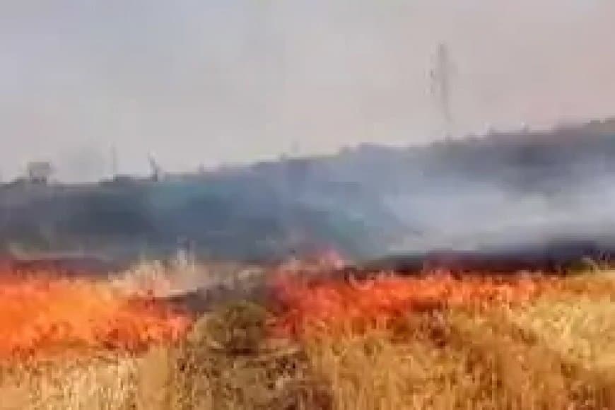 नरवाई जलाने वाले चार किसानों पर एफआईआर दर्ज: