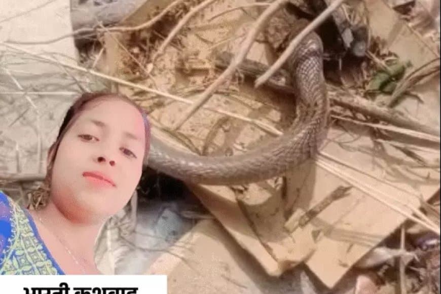 तीन टुकड़े होने के बाद भी सांप ने डसा, मौत