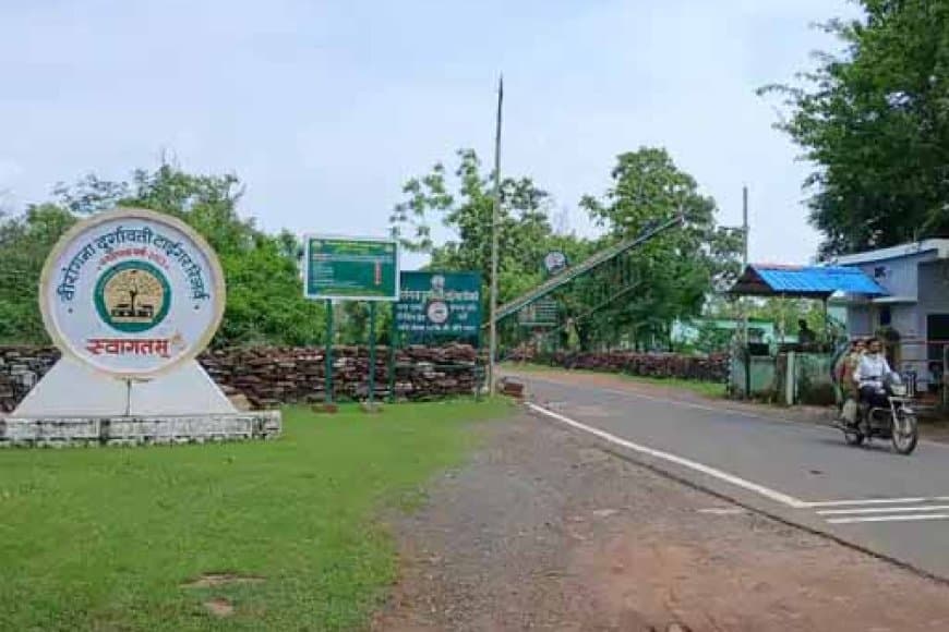 वीरांगना दुर्गावती टाइगर रिजर्व में बसाए जाएंगे चीते