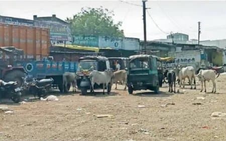 चार जगहों पर योजना की फाइलें घूम रहीं और यातायात व्यवस्था चरमरा रही