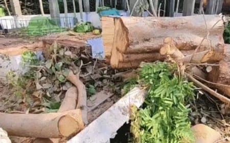 मजार पर पिलर बनाकर छत डालने की तैयारी थी