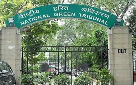 एनजीटी ने कहा- कानून लागू करने वाले ही तोड़ेंगे तो रक्षा कौन करेगा...