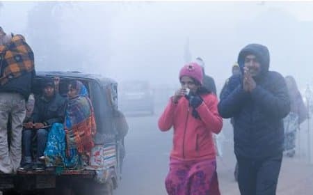 मध्यप्रदेश... सर्दी का सितम... शीतलहर का अलर्ट