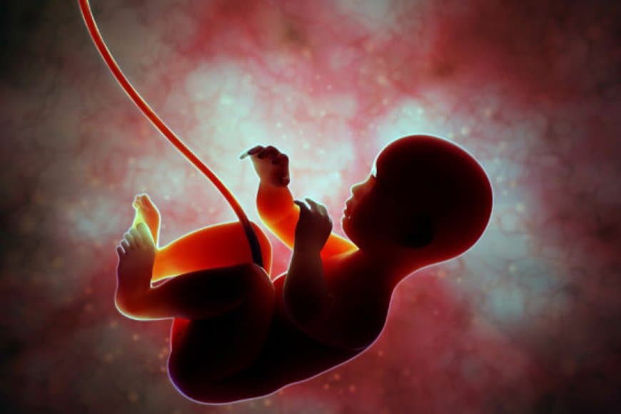 सावधान! प्रदूषण से गर्भ में पल रहे शिशु का भी घुट रहा दम