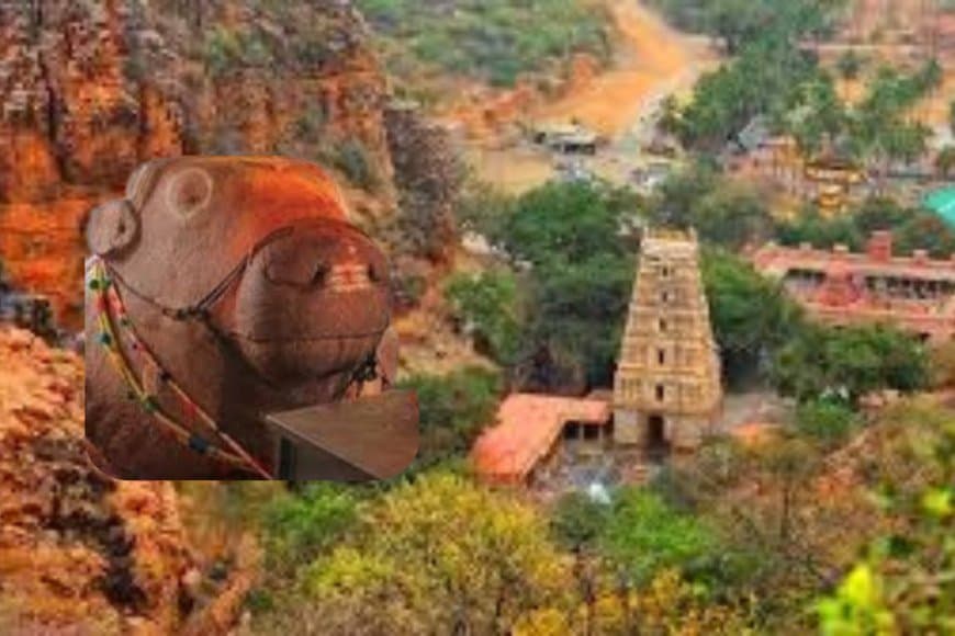 कलयुग में बढ़ता हुआ नंदी महाराज का मंदिर: जानिए यागंती उमा महेश्वर मंदिर का रहस्य और इतिहास