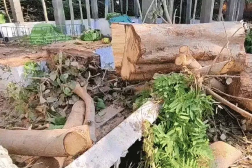 मजार पर पिलर बनाकर छत डालने की तैयारी थी