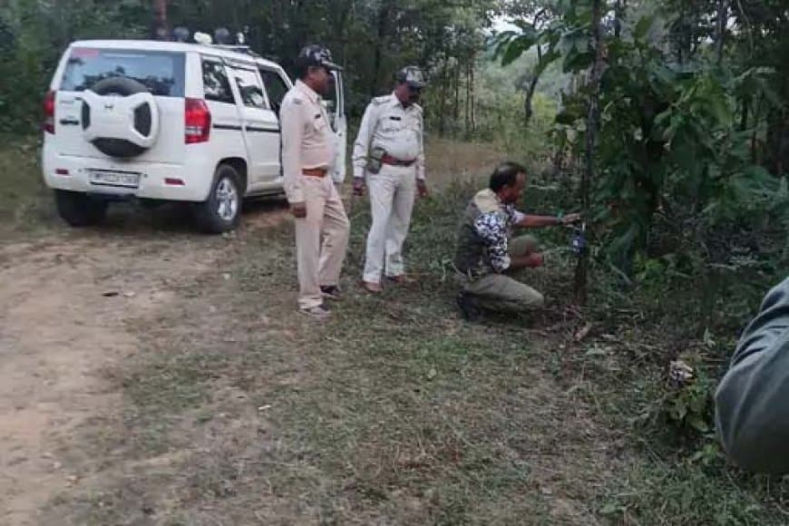 सतपुड़ा टाइगर रिजर्व में 15 नवंबर से बाघों की गिनती