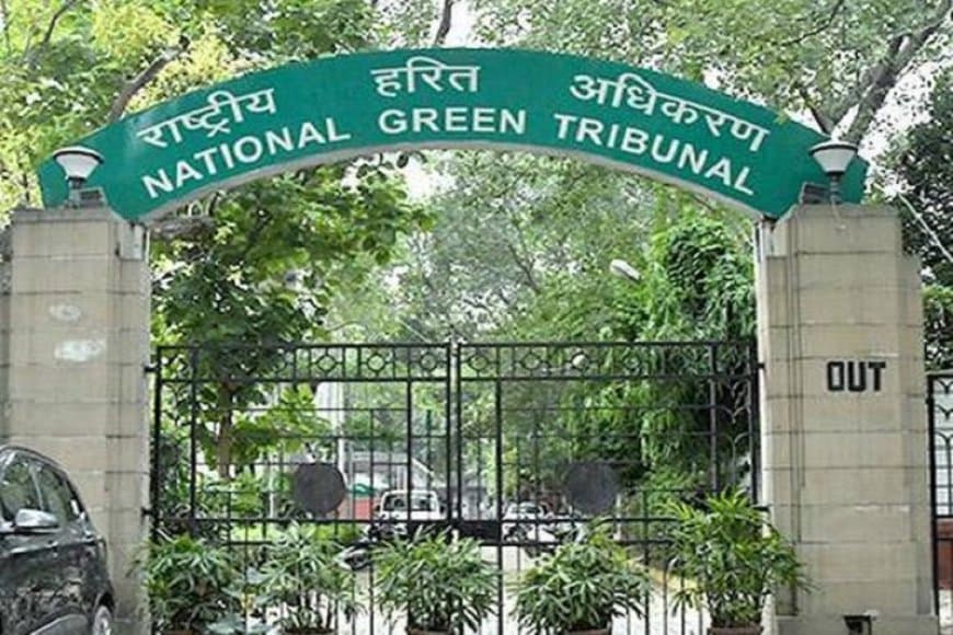 एनजीटी ने कहा- कानून लागू करने वाले ही तोड़ेंगे तो रक्षा कौन करेगा...