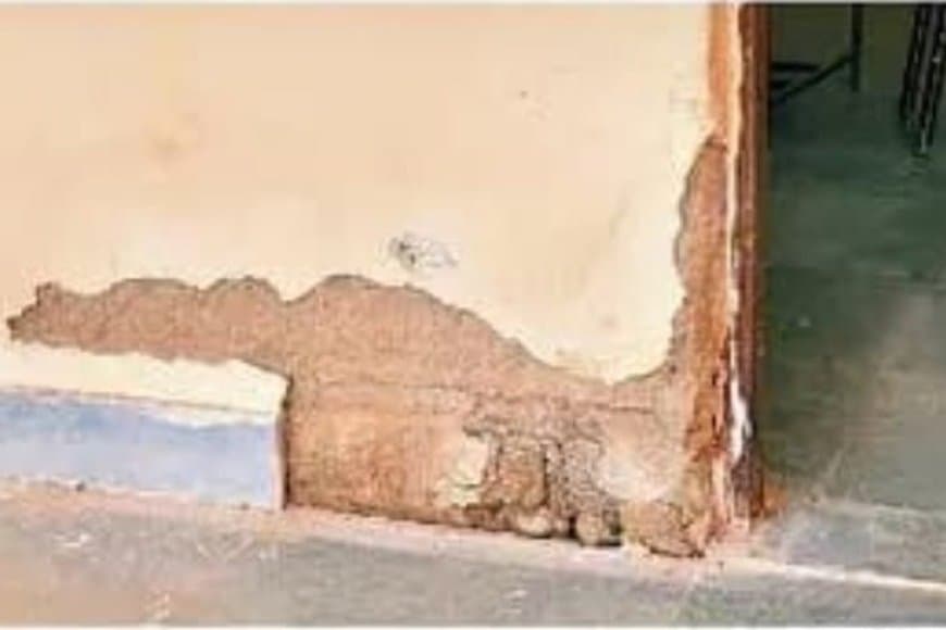 1 करोड़ से बना स्कूल भवन जर्जर दीवारों में सीलन