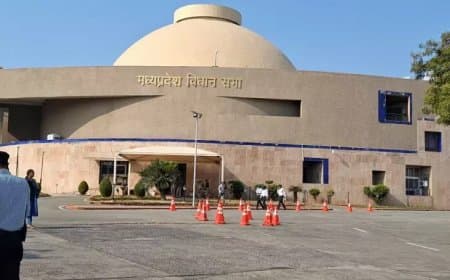 विकास का लक्ष्य और संतुलन की आवश्यकता: मध्य प्रदेश की आगे की राह