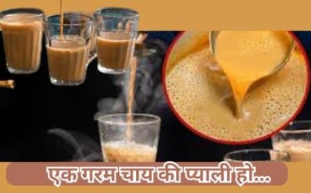 वाह चाय बोलिए जनाब.. पानी के बाद सबसे अधिक पिया जाना वाला पेय है चाय