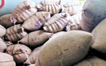 रेड:  दुकान के बाद घर की तलाशी में मिला धान का अवैध भंडारण