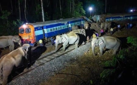 असम... राजधानी एक्सप्रेस बेपटरी... आठ हाथी कटे... यात्री सुरक्षित 