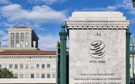 WTO में भारत के खिलाफ चीन की नई शिकायत: ICT और सोलर सब्सिडी पर बढ़ा विवाद