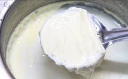 मलाई को महीनों तक ताजा रखने के जादुई टिप्स: न आएगी बदबू, न होगा स्वाद खट्टा