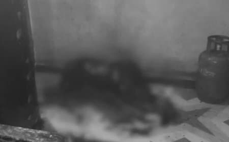 मध्यप्रदेश... बुरहानपुर में दो बच्चियों के पिता ने पत्नी को जिंदा जलाया