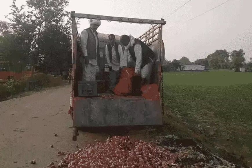 किसान ने 50 कट्टी प्याज सड़क पर फेंकी