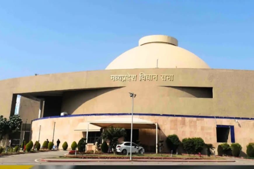 विधानसभा... सिंगरौली में जंगल खत्म होने से प्रभावित होंगे आदिवासी