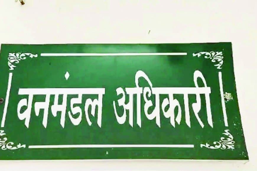 कमीशन न देने पर ठेकेदार को बैक-डेट में ब्लैकलिस्ट: रीवा वन विभाग की मनमानी उजागर, नोटिस 7 महीने बाद भेजा गया-कार्रवाई पर गंभीर सवाल