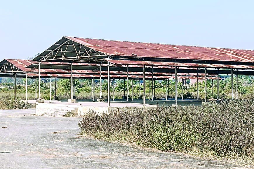 कोठी की करोड़ों की कृषि उपज मंडी बनी वीरान ‘श्मशान’: खरपतवार व गंदगी के बीच किसान भटकते, फसल का सही दाम न मिलने से दोगुनी मार