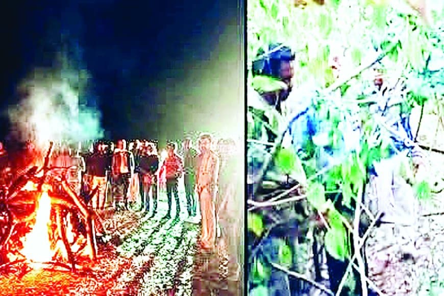 संजय टाइगर रिजर्व में दर्दनाक घटना: बाघिन टी-60 के दो शावकों की मौत, टेरिटरी विवाद में नए नर बाघ के हमले की आशंका