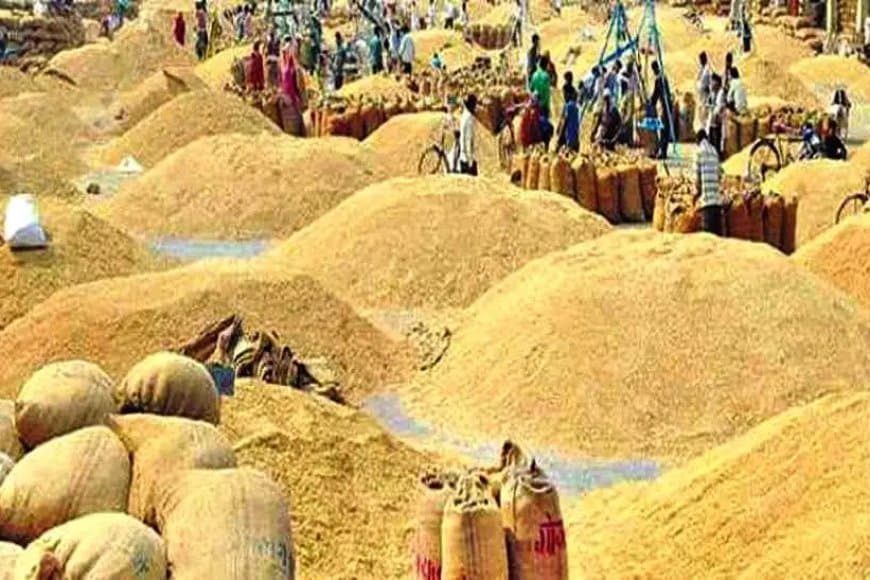 मध्यप्रदेश... अभी तक 13.21 लाख मीट्रिक टन हुई धान खरीदी
