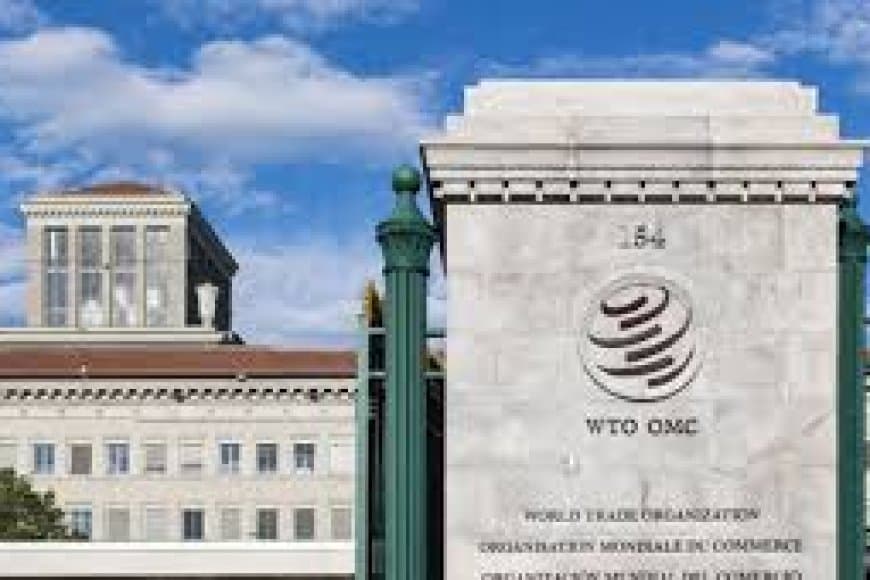 WTO में भारत के खिलाफ चीन की नई शिकायत: ICT और सोलर सब्सिडी पर बढ़ा विवाद
