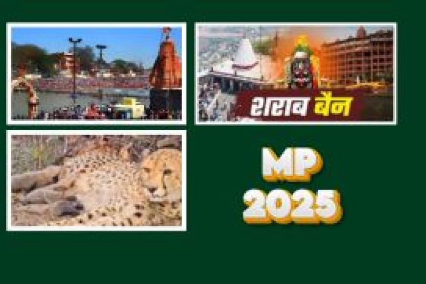 समय के शिलालेख पर मध्य प्रदेश – 2025 की गाथा