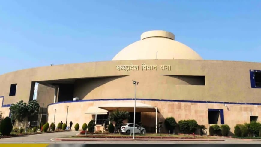 विधानसभा... सिंगरौली में जंगल खत्म होने से प्रभावित होंगे आदिवासी