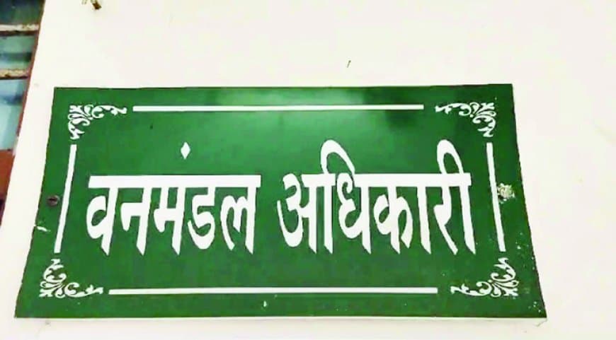 कमीशन न देने पर ठेकेदार को बैक-डेट में ब्लैकलिस्ट: रीवा वन विभाग की मनमानी उजागर, नोटिस 7 महीने बाद भेजा गया-कार्रवाई पर गंभीर सवाल