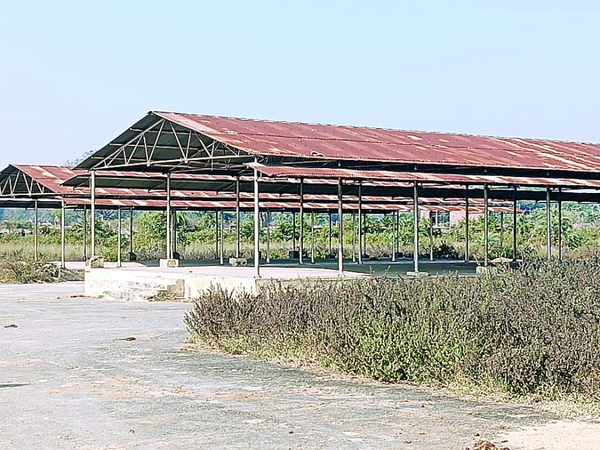 कोठी की करोड़ों की कृषि उपज मंडी बनी वीरान ‘श्मशान’: खरपतवार व गंदगी के बीच किसान भटकते, फसल का सही दाम न मिलने से दोगुनी मार