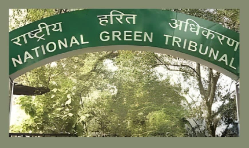 भोपाल अयोध्या बायपास 10-लेन प्रोजेक्ट: NGT ने 7871 पेड़ों की कटाई पर लगाई रोक भोपाल अयोध्या बायपास 10-लेन प्रोजेक्ट: NGT ने 7871 पेड़ों की कटाई पर लगाई रोक