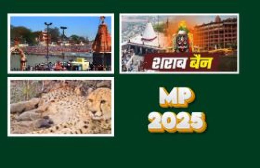 समय के शिलालेख पर मध्य प्रदेश – 2025 की गाथा