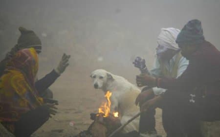 मध्यप्रदेश में कोहरा...बढ़ी ठिठुरन... राजस्थान में शून्य पर पहुंचा पारा