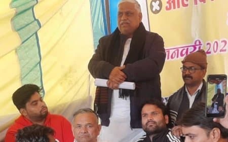 मुरैना में सांसद ने महिला तहसीलदार को कहा 'ढीठ', जानें पूरा मामला